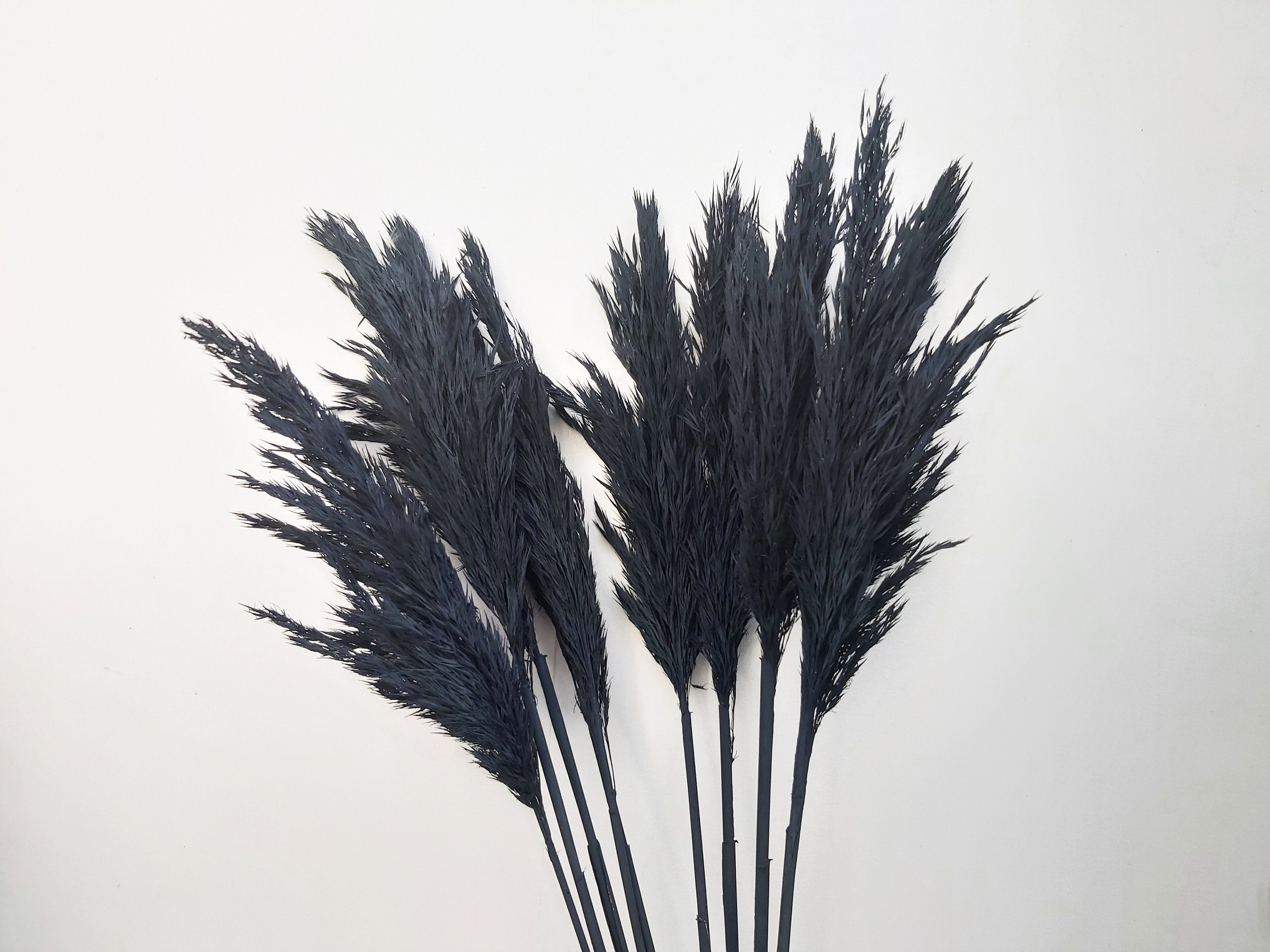 TOTKEN Pampasgras Dekoration 121 Stück - Natürliche Getrocknete Blumen Für Boho Deko