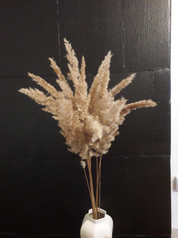Fluffy Wild Grass Decor Wild Pampas Grass Dried Large Pampas Etsy
