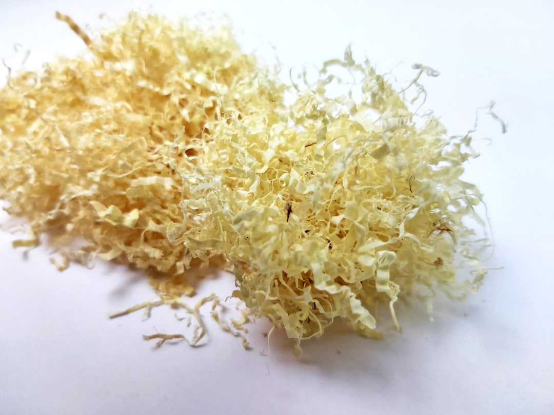 Juniper Shavings, Juniper Wood Shavings, Dried Juniper Scobs, Juniper