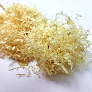 Juniper Shavings for burning, Juniper Wood Shavings, Dried Juniper Scobs, Juniper, Juniper wood Incense, Organic Incense, Bulk Juniper