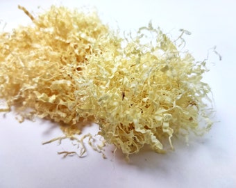 Könnte beinhalten: Nahaufnahme eines Haufens hellgelber Holzspäne. Die Späne sind lang und dünn und liegen in einem lockeren, flauschigen Haufen.