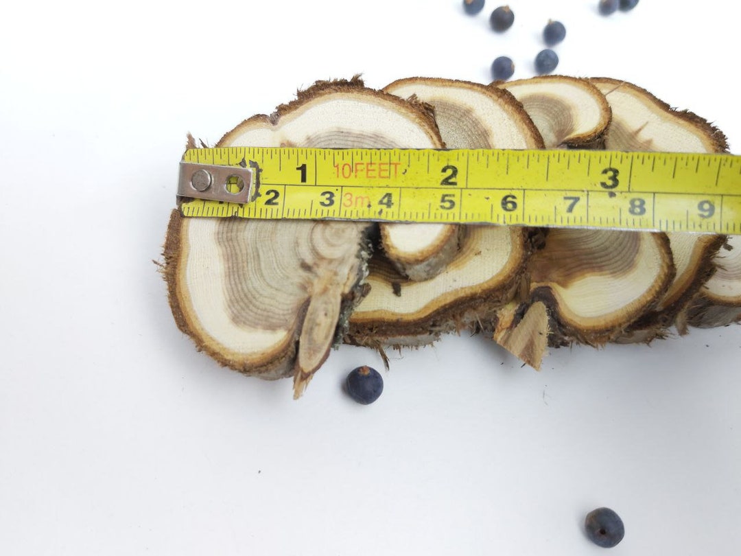 Juniper Wood Slices, Dried Juniper Sticks, Juniper Slice, Juniper Cuts, Juniper Wood, Juniper