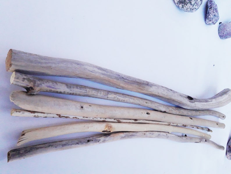 Driftwood Wall Decoration Sticks for Macrame 6 DriftWood Pieces Long Driftwood Beach Decor Terrarium Wood Driftwood For Crafting