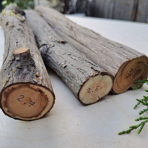 Juniper Wood Sticks with Bark, Juniper Scent Sticks, Juniper Incense, Incense, Bulk Juniper, Juniper, Juniper for burning, Juniper Sticks