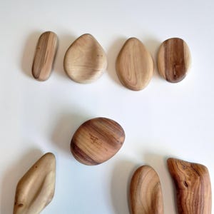 Può includere: Una collezione di otto pietre lisce in legno di varie forme e dimensioni. Le pietre sono marrone chiaro con venature naturali. Alcune sono ovali, altre più angolari, tutte su sfondo bianco.