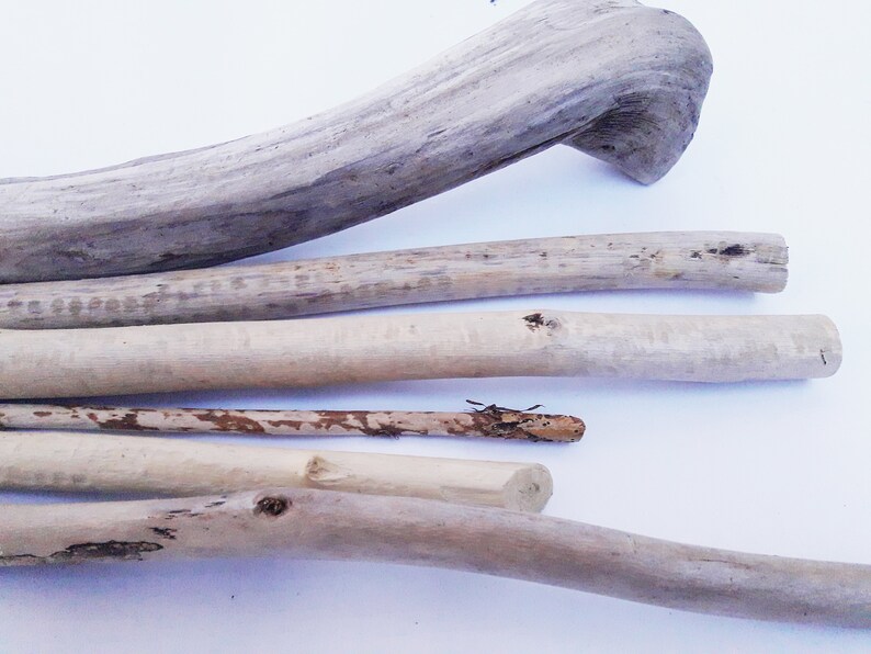 Driftwood Wall Decoration Sticks for Macrame 6 DriftWood Pieces Long Driftwood Beach Decor Terrarium Wood Driftwood For Crafting