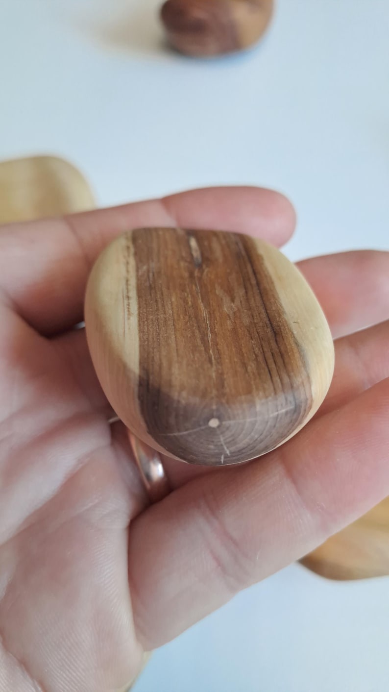May include: A smooth, wooden pebble with a rounded shape. The pebble is made of light and dark brown wood, with visible grain patterns. The object is held in a hand, with other similar pebbles visible in the background.