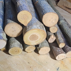 Rowan Wood Sticks with Bark, Wands, Runes, discs, amulets, protective quality, Strong energy wood. Mountain ash - Rowan