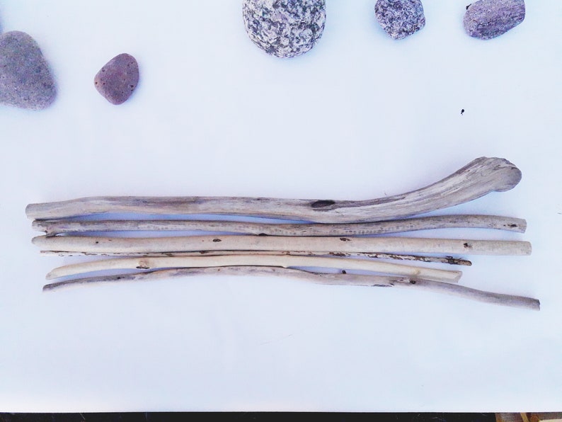 Driftwood Wall Decoration Sticks for Macrame 6 DriftWood Pieces Long Driftwood Beach Decor Terrarium Wood Driftwood For Crafting