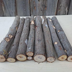 Juniper Wood Sticks with Bark, Juniper Scent Sticks, Juniper Incense, Incense, Bulk Juniper, Juniper, Juniper for burning, Juniper Sticks