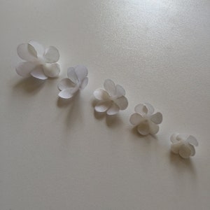 Puede incluir: Cinco flores de papel blanco de diferentes tamaños dispuestas en diagonal sobre una superficie blanca. Cada flor tiene cinco pétalos, con la flor más grande en la parte superior izquierda y la más pequeña en la inferior derecha. Las flores parecen delicadas y hechas a mano.