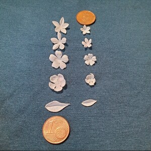May include: Assortment of white paper flowers of varying sizes, arranged in two rows on a blue fabric background. Two copper-coloured euro coins are included for scale.