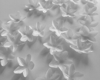 May include: A scattering of white paper flowers on a white background. The flowers are delicate and have a slightly ruffled texture.