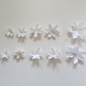 Puede incluir: Diez flores de papel blanco de diferentes tamaños, dispuestas en dos filas sobre un fondo blanco. Las flores están hechas de papel y tienen un diseño delicado y plegado.