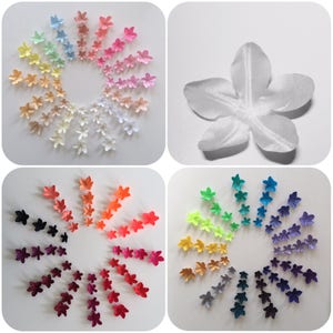 Può includere: Un assortimento arcobaleno di piccoli fiori di carta disposti in cerchio. I fiori sono in varie tonalità di rosso, arancione, giallo, verde, blu, indaco e viola. C'è anche un fiore bianco al centro del cerchio.