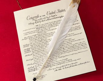 U.S. Bill of Rights Christmas Historical Ornament Patriotic gift Tree Decoration Constitution Declaration Independence present Americana