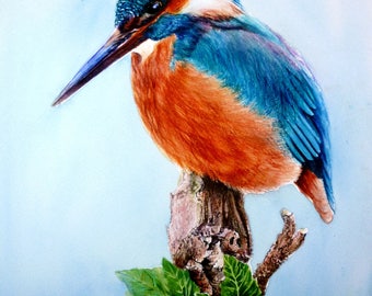 Kingfisher on a Tree Stump (print of original watercolour painting)