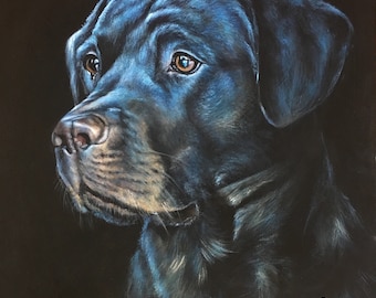 Black Labrador (print of original acrylic painting)