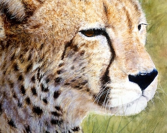 Cheetah (print of original watercolour)