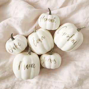 Mini Pumpkins, Wedding Pumpkins, Personalized Pumpkins, Pumpkin Place Cards, Thanksgiving Place Cards, Fall Place Cards, Fall Wedding Decor