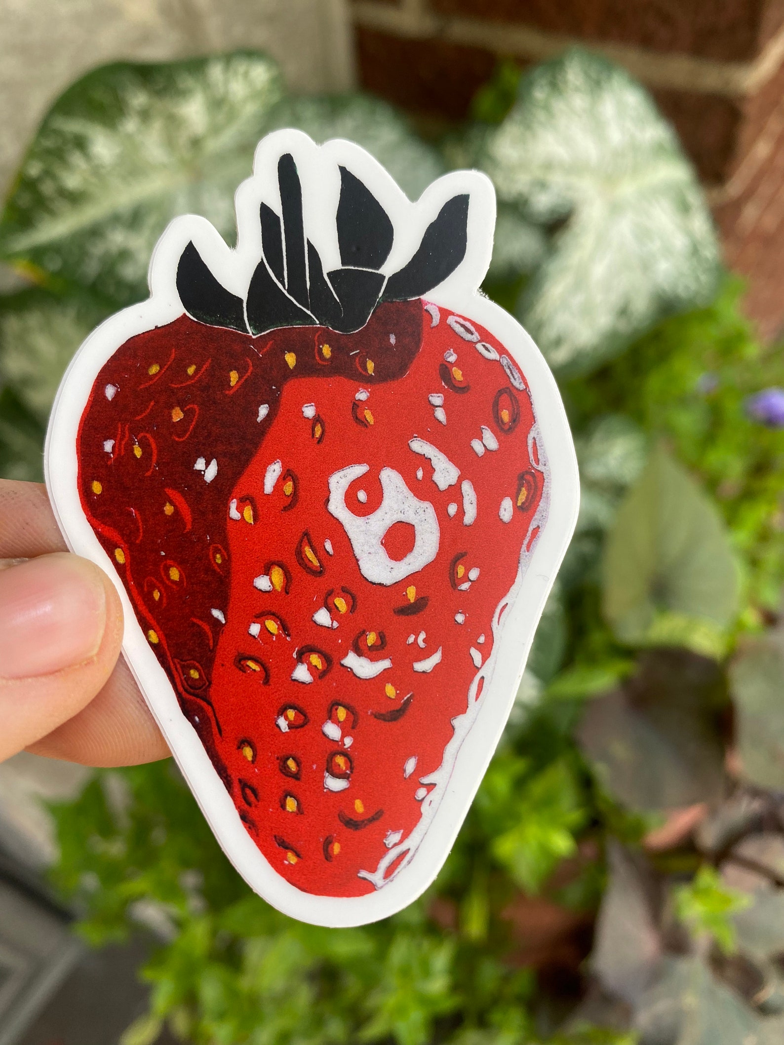 3 Strawberry Vinyl Sticker Fruit Decal Fun Stickers Etsy