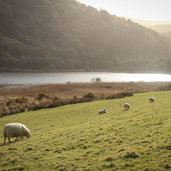 Ireland Photography, Ireland Landscape, Ireland Photos, Ireland Prints, Landscape Photography, Landscape Prints, Landscape Photos, Digital