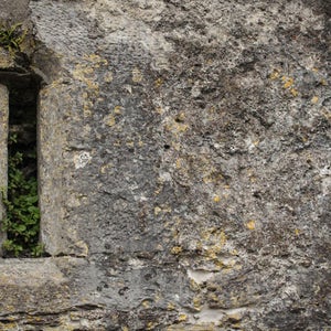 May include: Close-up of a weathered stone wall with a narrow, rectangular opening. The wall is gray with yellow and green patches of lichen and moss. Green plants are visible inside the opening, suggesting an old building or structure.