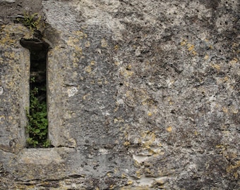 Blarney Castle, Blarney Castle Photography, Blarney Castle Photos, Ireland Photography, Ireland Photos, Landscape Photos, Landscape Prints