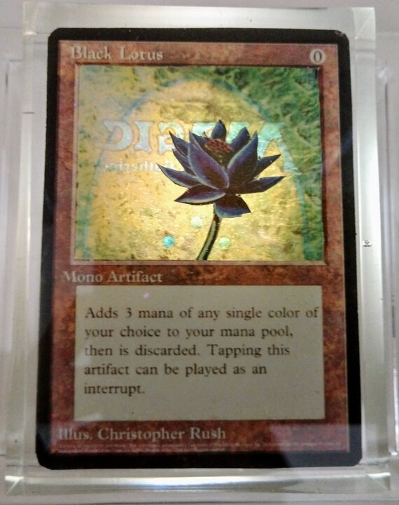 black lotus