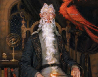 The Professor's Office Wizard Portrait