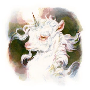 Baby Unicorn Illustrated Art Print