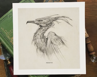 Phoenix Magical Creature Illustrated Art Print