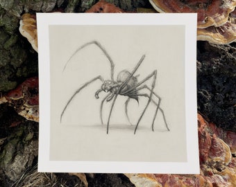 Giant Spider Magical Creature Illustrated Art Print