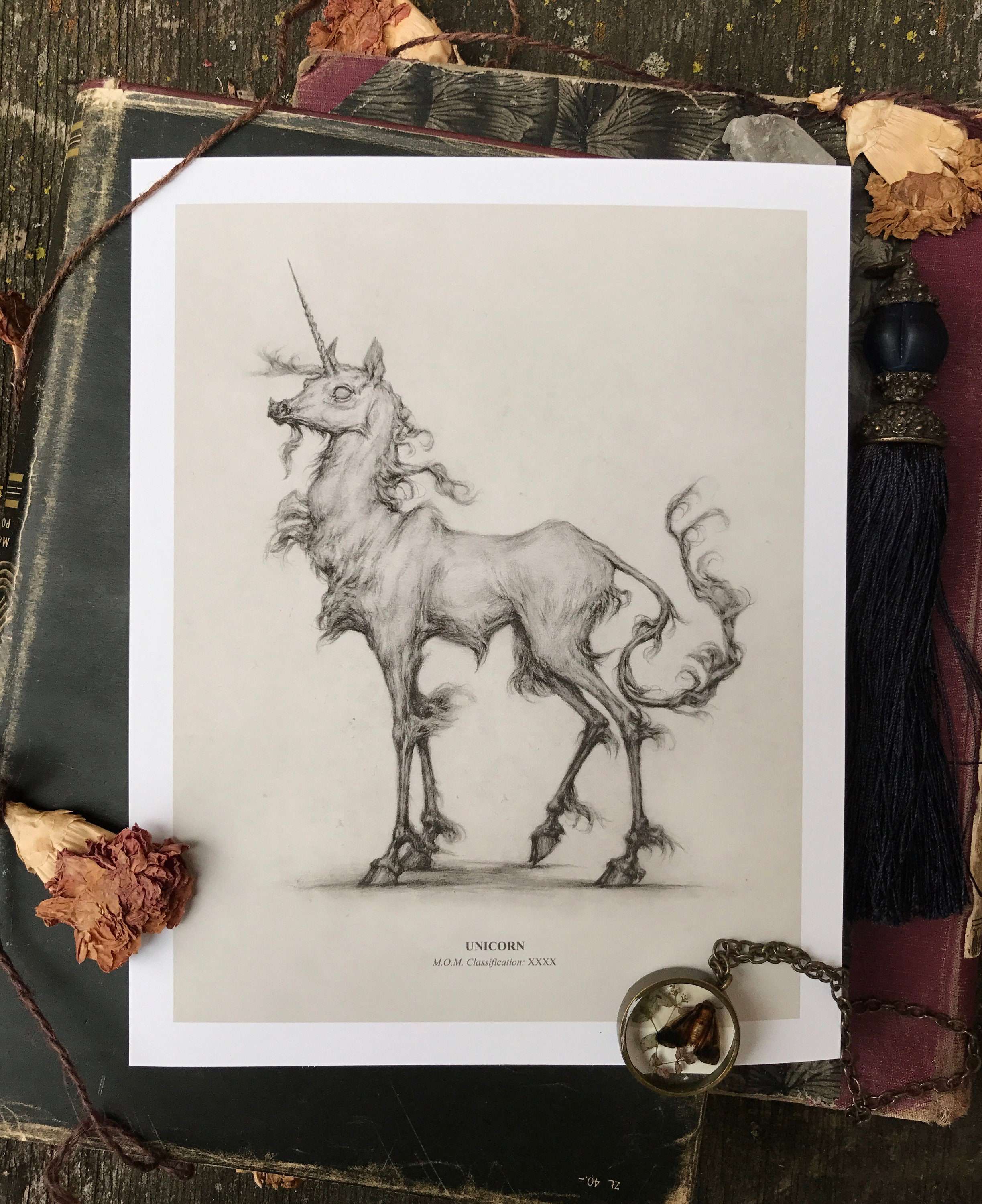 Unicorn Harry Potter Illustrated Art Print | Etsy