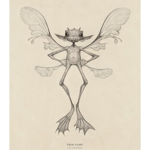 Frog Fairy Magical Creature Illustrated Art Print