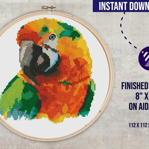 Könnte beinhalten: Kreuzstichmuster eines bunten Papageis mit grünen, orangefarbenen und blauen Federn. Die fertige Größe beträgt 20,3 cm x 20,3 cm auf Aida 14er Stoff. 112 x 112 Stiche.