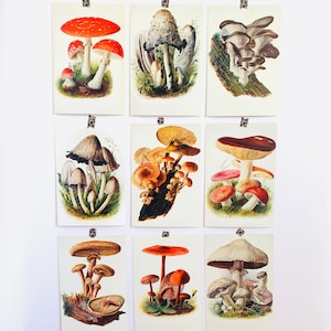 8x10 inches Mushroom printable art cottagecore wall decor