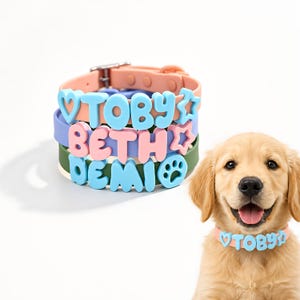 Peut inclure: Une pile de trois colliers pour animaux en silicone de couleur pêche, lavande et vert olive. Chaque collier présente des perles lettres colorées en relief formant les noms TOBY, BETH et DEMI, avec des breloques en forme de cœur, d'étoile et de patte.