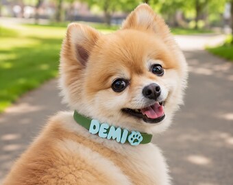 Personalized Pastel Puppy Collar/ Custom Name Dog Collar/ Silicone Pet Collar/ Letter Bead Dog Accessory/ Pet Necklace/ Pet Birthday Gifts