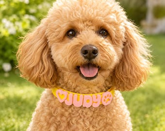 Personalized Silicone Dog Collar with Name/ Pastel Puppy Pet Collar/ Silicone Cat Collar/ Gift for New Pet/ Pet Necklace/ Gift for Pet Lover