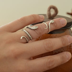 May include: Two silver snake rings on a finger. The ring on the index finger is a coiled snake with a snake head at the top. The ring on the thumb is a simple snake design.