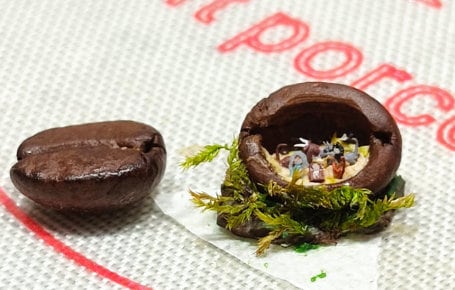 micro nativity in coffee seed