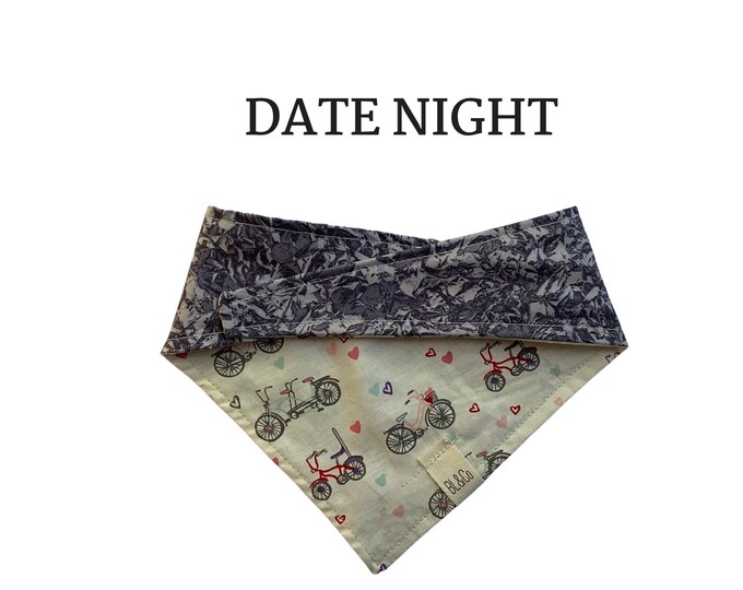 Valentine’s Day Dog // Date Night Dog Bandana // Vintage Bicycles and Hearts with Gray Textured Print Tie/On, Reversible Bandana