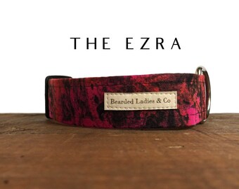 Dog Collar : The Ezra