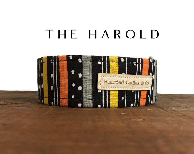 The Harold : Halloween Stripe Dog Collar