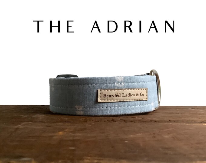 Minimalist Geometic Blue Dog Collar // The Adrian : Everyday Adjustable Dog Collar