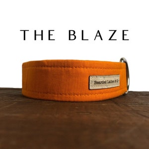 Bright Orange Dog Collar // The Blaze : Solid Colored Dog Collar