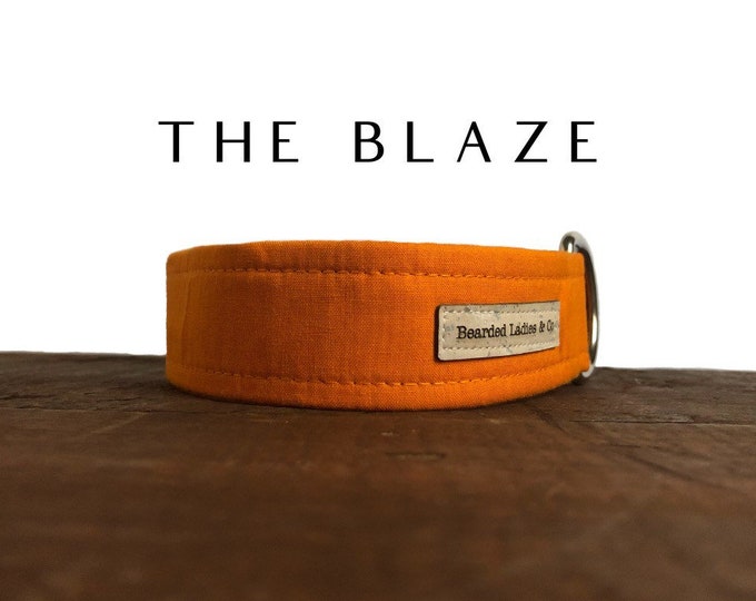 Bright Orange Dog Collar // The Blaze : Solid Colored Dog Collar