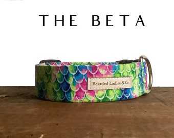 Mermaid Scales Dog Collar // The Beta : Multicolor Summer Dog Collar