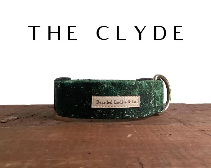 Dark Green & Tan Dog Collar // The Clyde : Everyday Adjustable Dog Collar